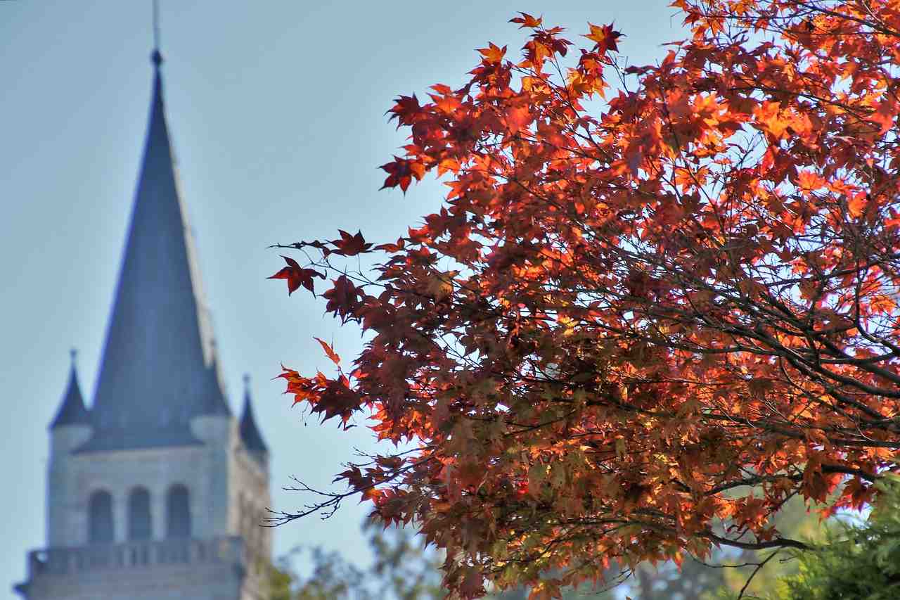 église, feuillage, à l'automne